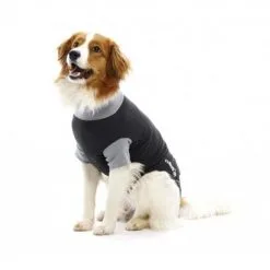 Buster Body Suit Chien M