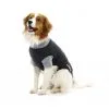 Buster Body Suit Chien L