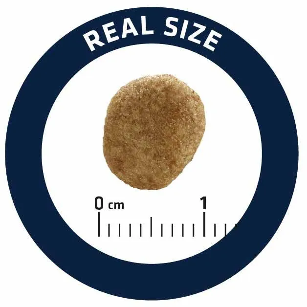 Advance Veterinary Diets Chat Weight Balance 8 Kg – Image 2