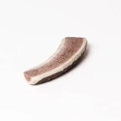 Evident Bois De Cerf Tranché XS