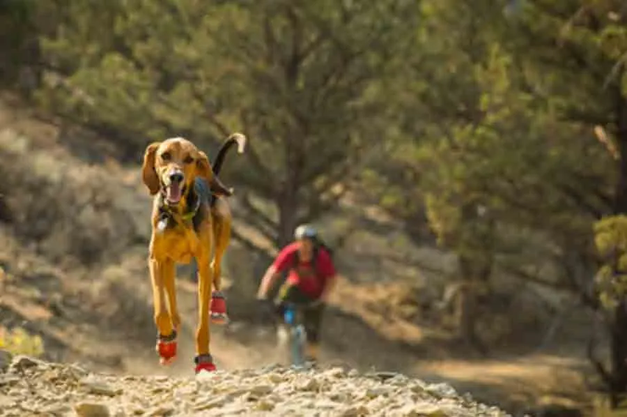 Ruffwear Bottines Grip Trex Rouge 76 Mm - Destockage – Image 4