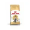 Royal Canin Breed Health Nutrition Royal Canin British Shorthair Adult 2 Kg