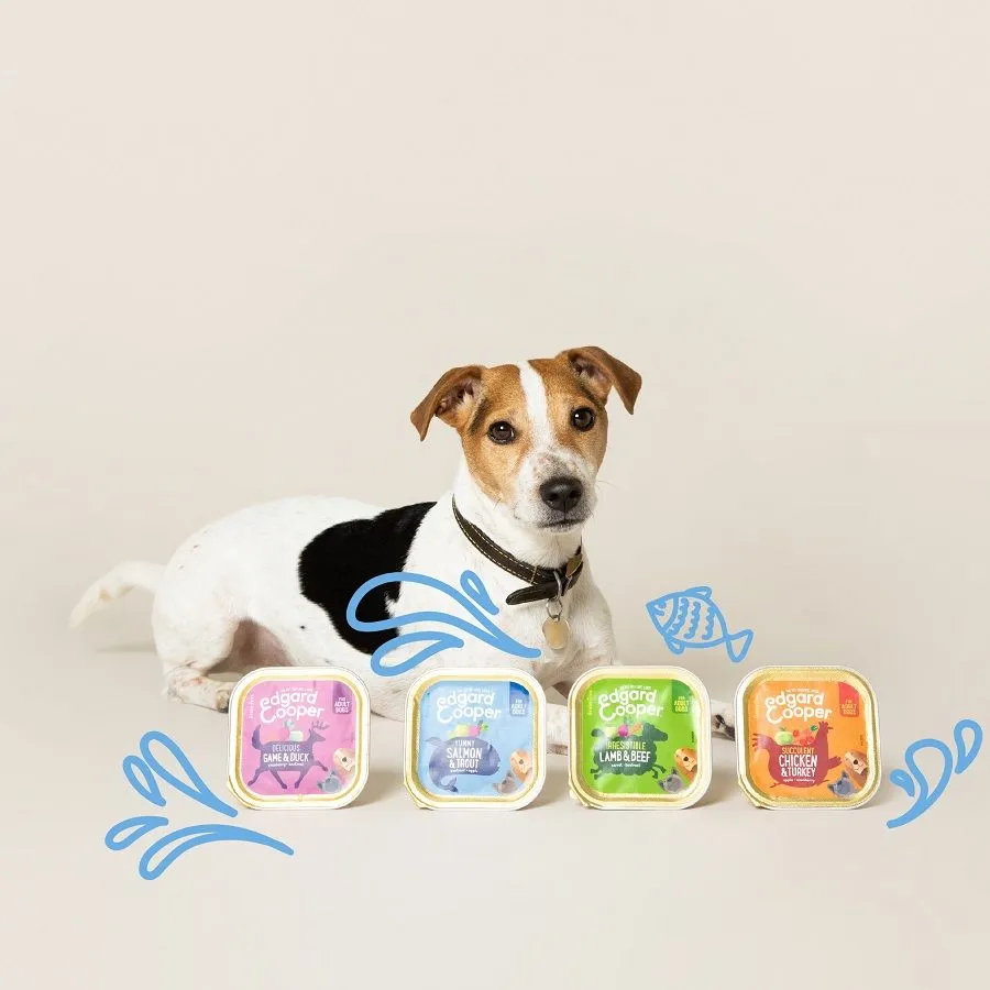 Edgard & Cooper Multipack Poulet Et Agneau Pour Chien Adulte 4 X 300 G – Image 3