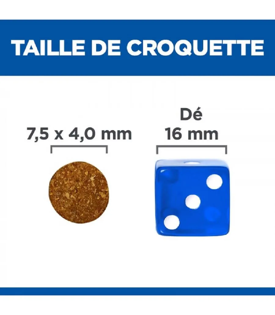 Hill's Vetessentials Hill's Science Plan VetEssentials Canine Healthy Digestive Biome Small & Mini 2 Kg – Image 3
