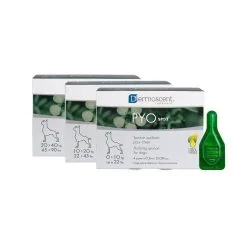 Dermoscent PYOspot Chien 20-40kg 4 Pipettes
