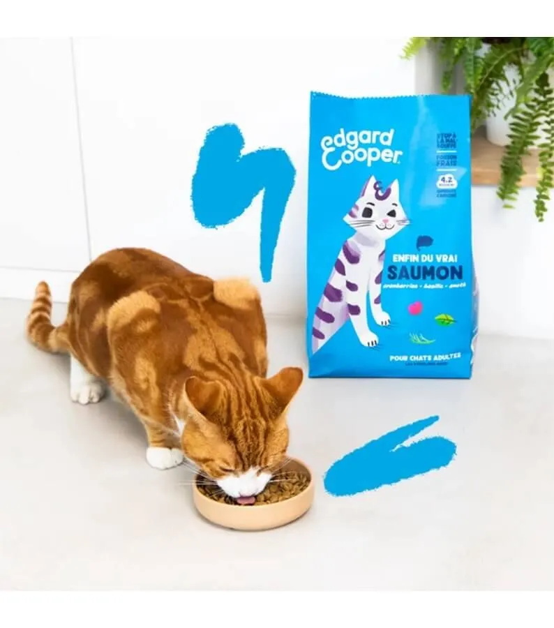 Edgard & Cooper Saumon Chat 2 Kg – Image 2