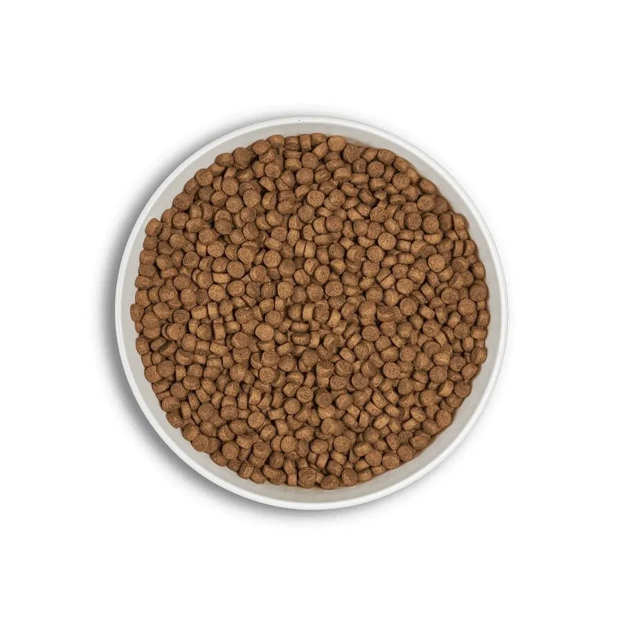 Millenium ERA Millennium Adulte Moyenne Et Grande Race Poulet Faisan 12 Kg – Image 3