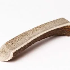 Evident Bois De Cerf Chiot S