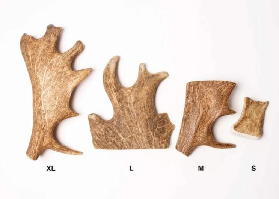Evident Bois De Daim XL – Image 2