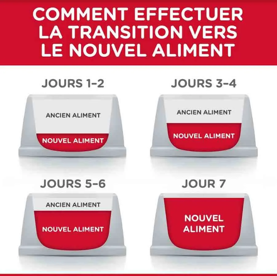 Hill's Science Plan Hill's Science Plan Feline Adult Poulet 15 Kg – Image 4