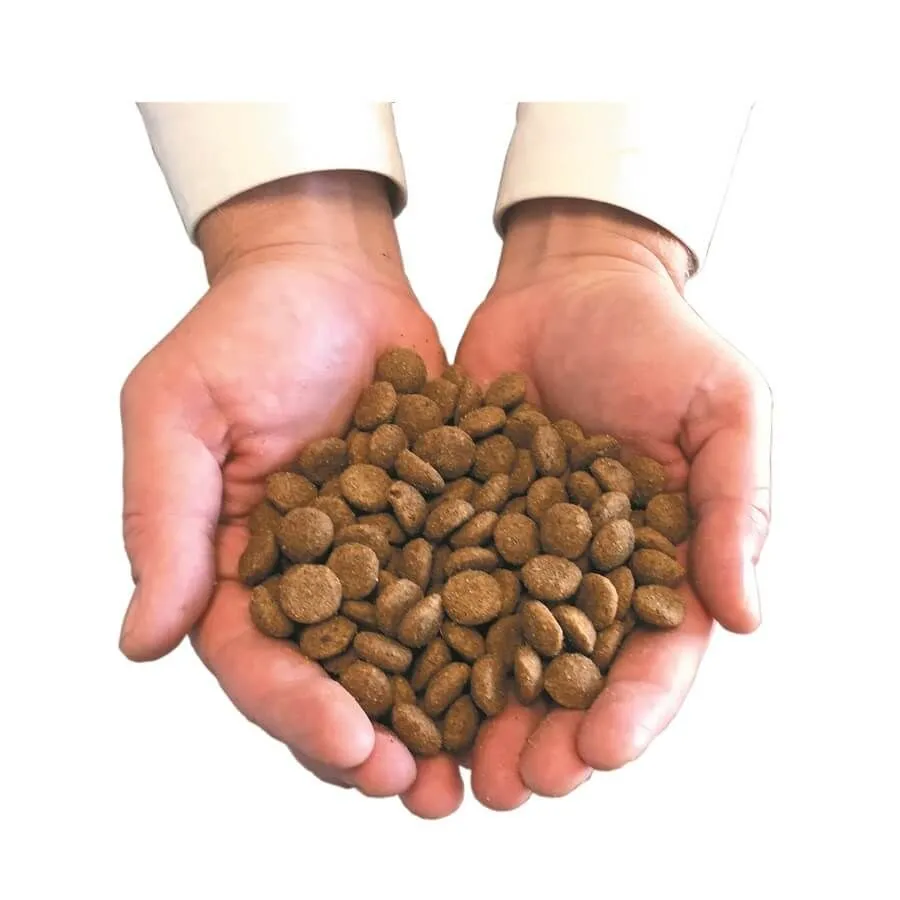 Felichef Croquettes BIO Chat Adulte Poisson 2 Kg – Image 2