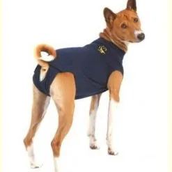 Medical Pet Shirt Chien M