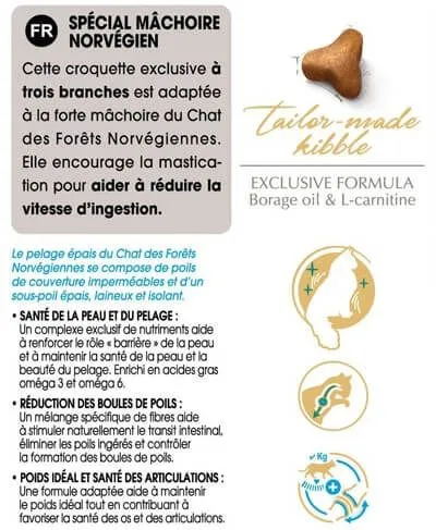 Royal Canin Breed Health Nutrition Royal Canin Chat Norvégien Adult 10 Kg – Image 5