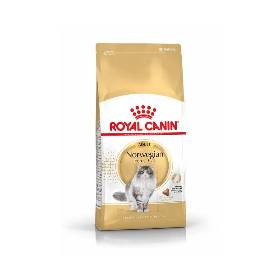 Royal Canin Breed Health Nutrition Royal Canin Chat Norvégien Adult 10 Kg