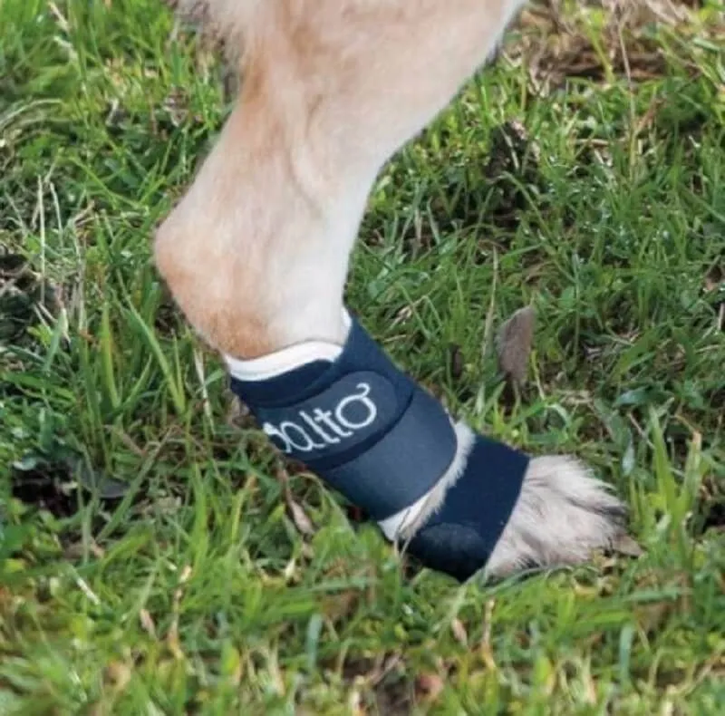 Orthese Balto Carpe Et Tarse S – Image 3