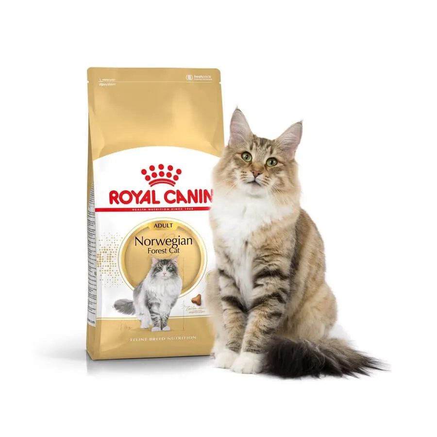 Royal Canin Breed Health Nutrition Royal Canin Chat Norvégien Adult 10 Kg – Image 2