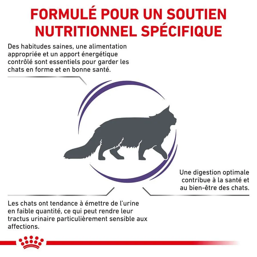 Royal Canin Vet Care Royal Canin Vet Chat Adult 2 Kg – Image 2