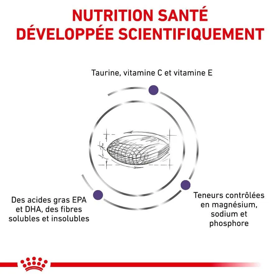 Royal Canin Vet Care Royal Canin Vet Chat Adult 2 Kg – Image 3