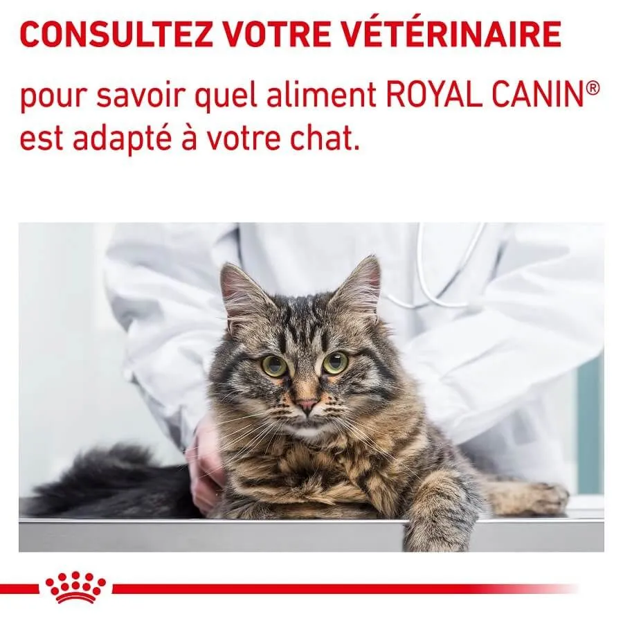 Royal Canin Vet Care Royal Canin Vet Chat Adult 2 Kg – Image 9