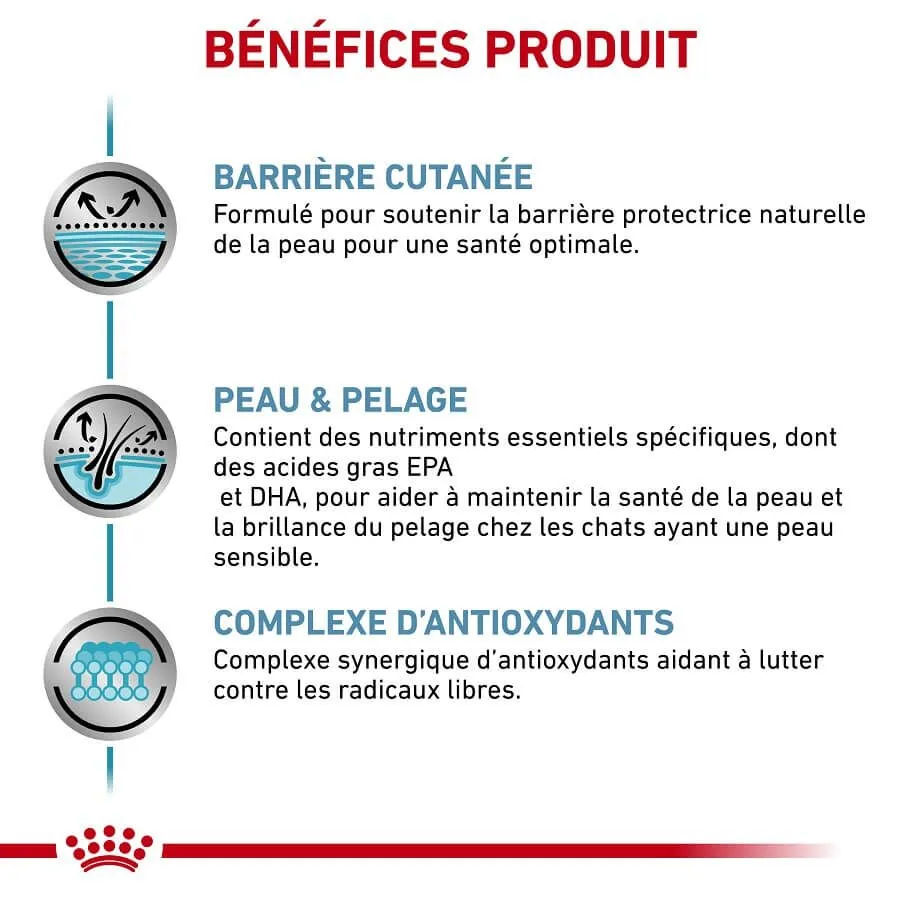 Royal Canin Vet Care Royal Canin Vet Chat Skin & Coat 12 X 85 G – Image 3