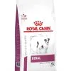 Royal Canin Veterinary Diet Royal Canin Vet Chien Renal Small Dog 500 G
