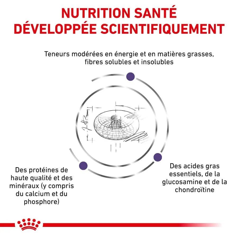 Royal Canin Vet Care Royal Canin Veterinary Neutered Junior Large Dog 12 Kg – Image 3