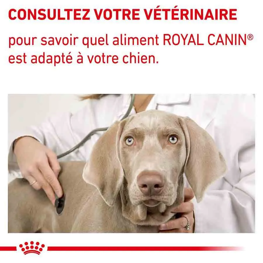 Royal Canin Vet Care Royal Canin Veterinary Neutered Junior Large Dog 12 Kg – Image 7