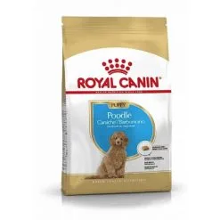 Royal Canin Breed Health Nutrition Royal Canin Caniche Puppy 3 Kg
