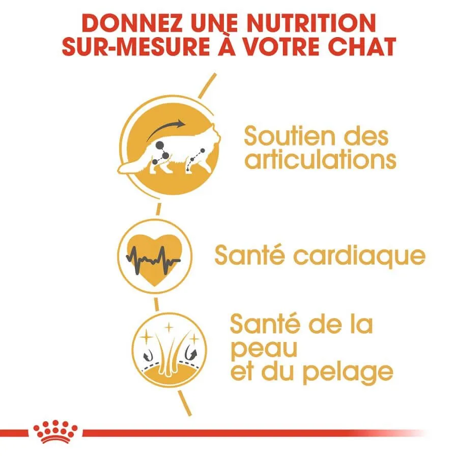 Royal Canin Breed Health Nutrition Royal Canin Maine Coon Adult 2 Kg – Image 5