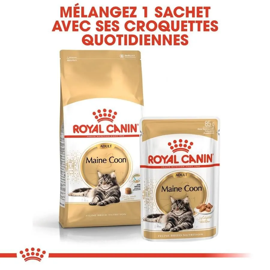 Royal Canin Breed Health Nutrition Royal Canin Maine Coon Adult 2 Kg – Image 6