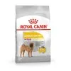 Royal Canin Canine Care Nutrition Medium Dermacomfort 3 Kg