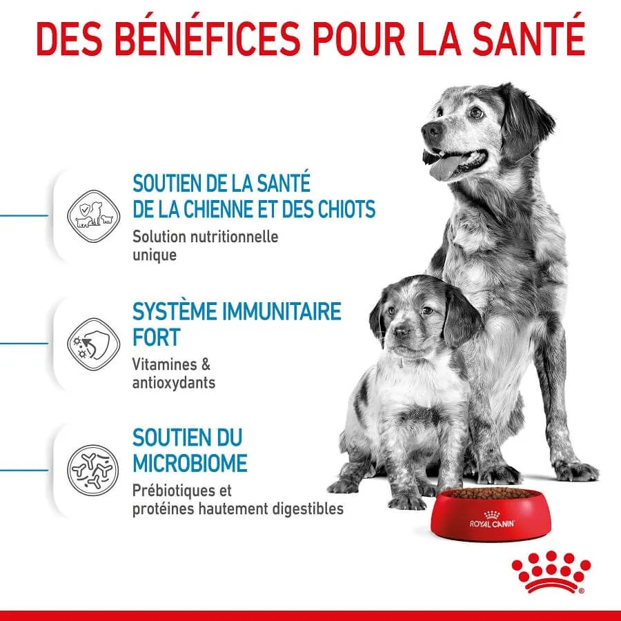 Royal Canin Size Health Nutrition Royal Canin Medium Starter Mother & Babydog 15 Kg – Image 3
