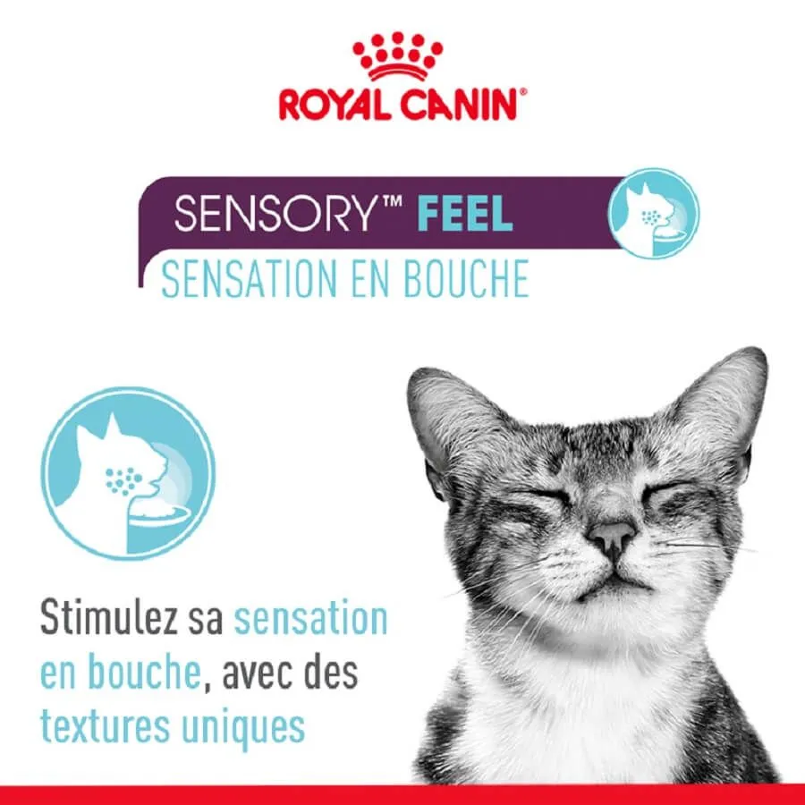 Royal Canin Sensory Multipack Sauces Pour Chat 12 X 85 G – Image 7