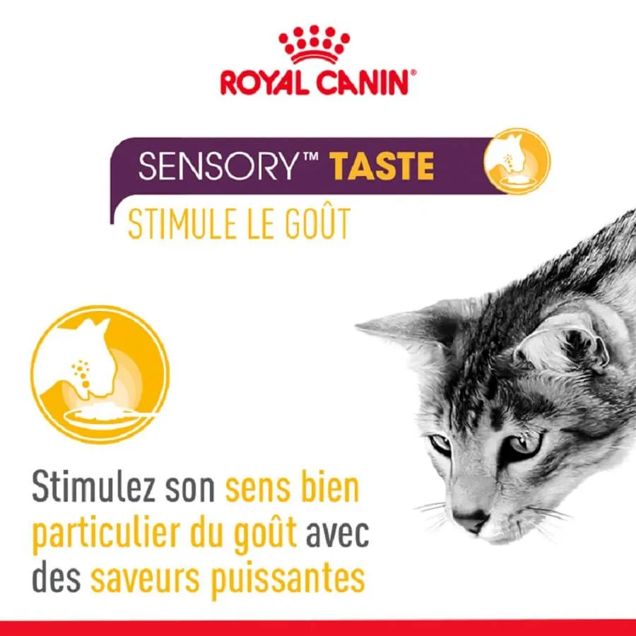 Royal Canin Sensory Multipack Sauces Pour Chat 12 X 85 G – Image 5