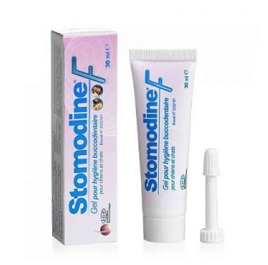 Stomodine F 30 Ml