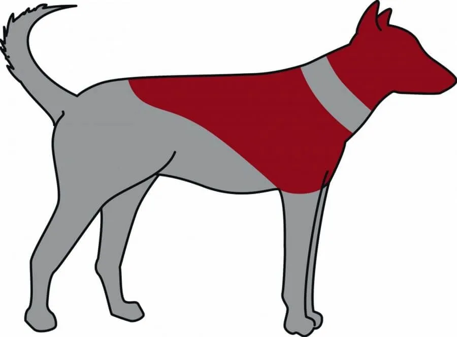 Trixie Carcan Gonflable Pour Chien L-XL – Image 3