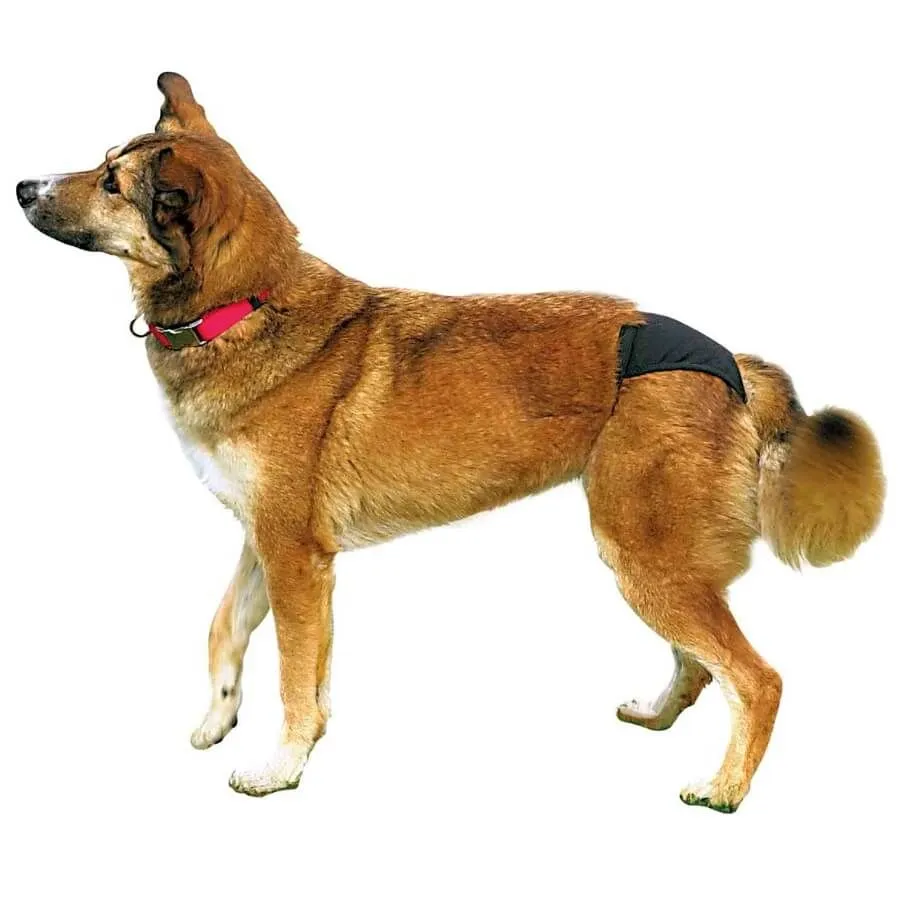 Trixie Slip De Protection Pour Chien XS – Image 2
