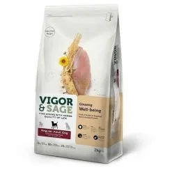 Vigor Sage Vigor & Sage Chien Adulte Ginseng/Poulet 2 Kg - Destockage