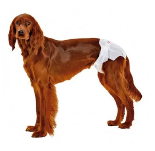 Couche-culotte Camon Chien XL X12 – Image 2