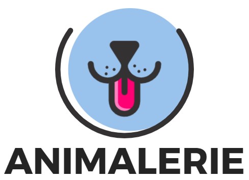 Nourriture pour chien Soldes